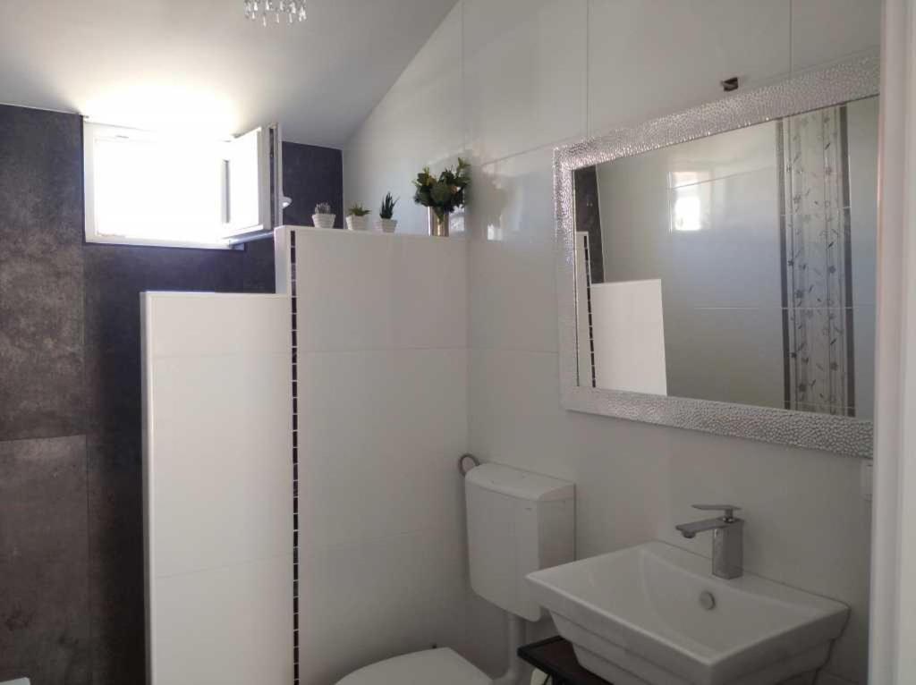 Apartamento Dandy Povljana Exterior foto